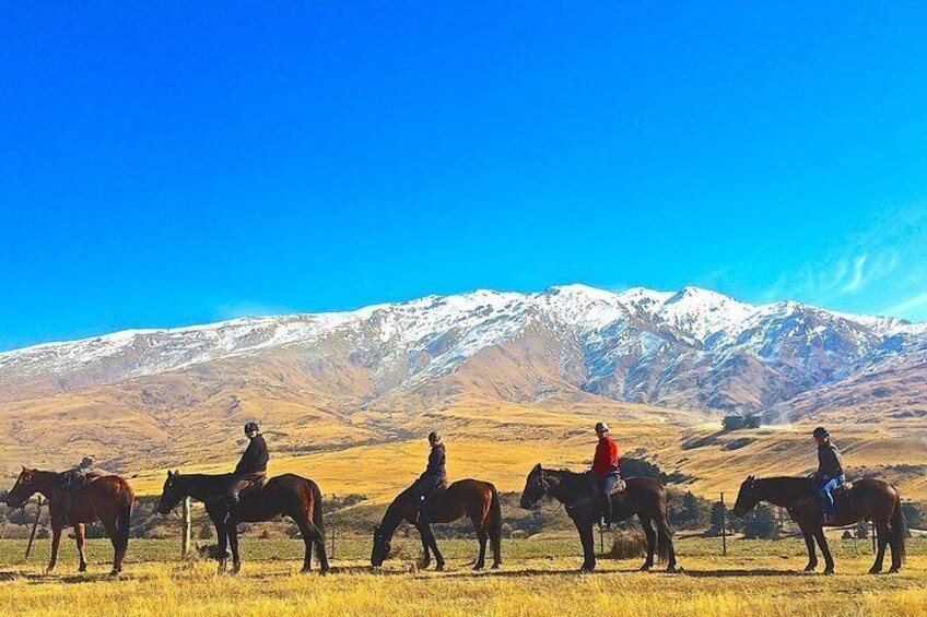 Mount Cardrona