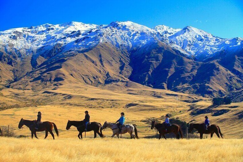 Cardrona High Country Pub Trail Horse Riding Trek