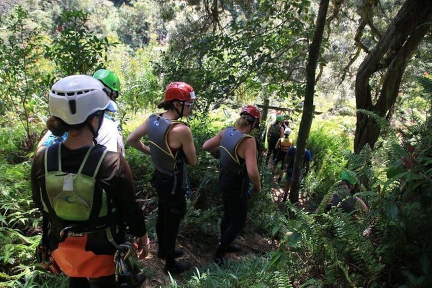 Rappel Maui Waterfalls and Rainforest Cliffs