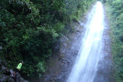 Manoa-Wasserfälle; Lauf und Wanderung mit ortskundigem Fremdenführer