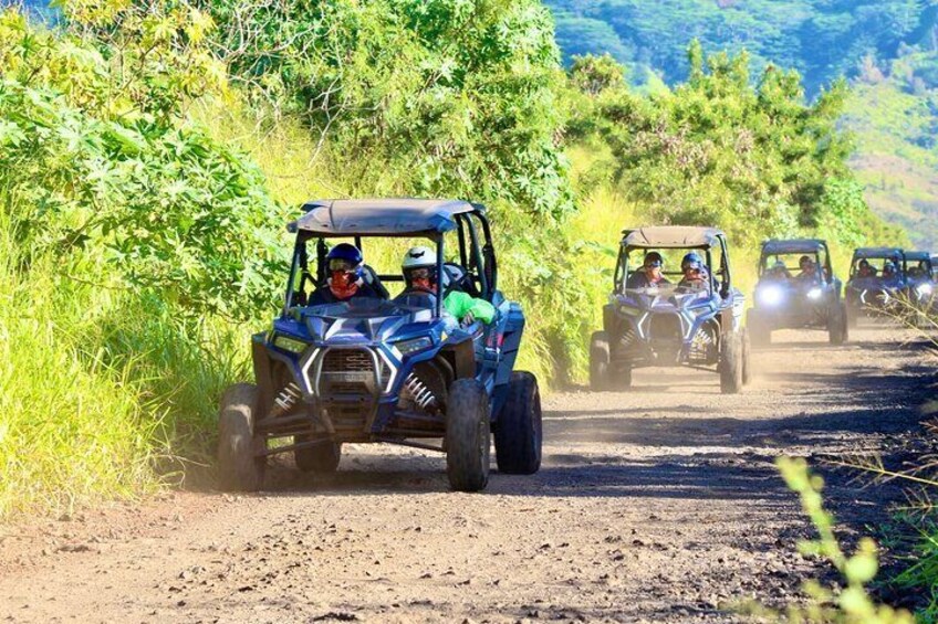 Kauai ATV Backroads Adventure Tour