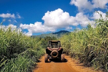 Kauai quad bike Tour: Historic Sugar Cane Roads & Koloa Town Adventure