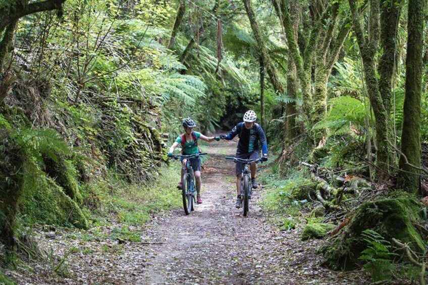 Show item 1 of 3. Timber Trail - Ongarue to Pureora Shuttle 2 Day Ride