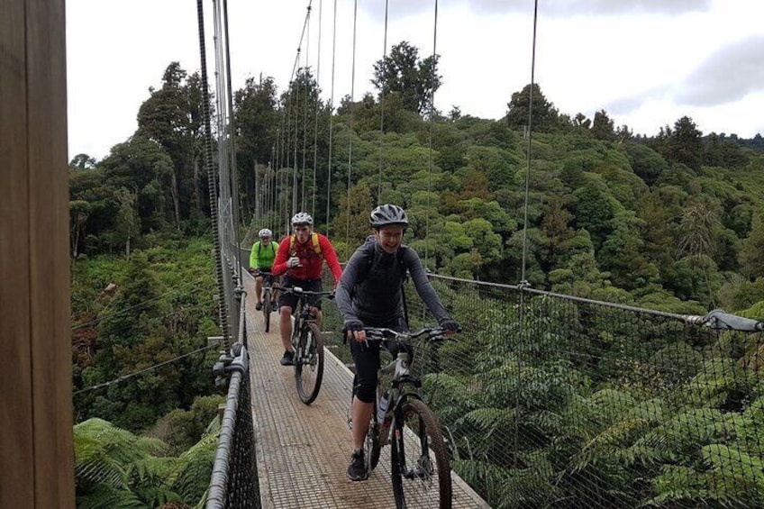 Timber Trail - Ongarue to Pureora Shuttle 2 Day Ride