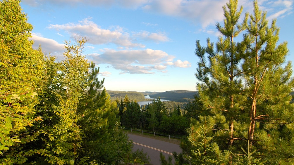 Wide shot through evergreens in the Laurentian Mountains