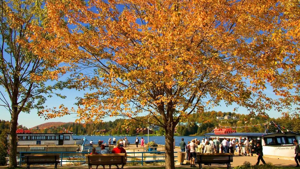 Boats docked on the shore of Lac des Sables outside Montreal Canada on a clear blue fall day