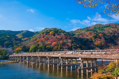 Kyoto Arashiyama Customised Private Tour with Licensed Guide