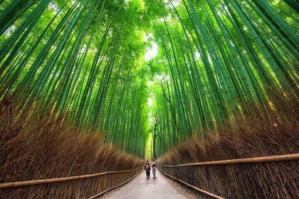 京都 Arashiyama 自訂私人旅遊 帶著牌嚮導