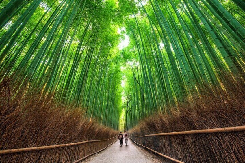 Kyoto Arashiyama Customized Private Tour with Licensed Guide