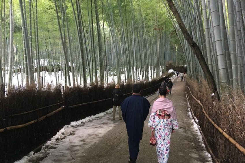 Bamboo Forest with snow (Cool!! but beautiful!!)