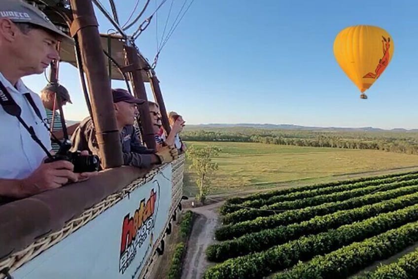 Cairns Classic Hot Air Balloon ride