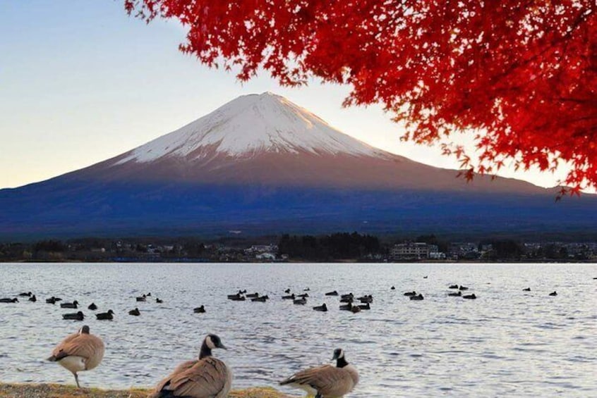 Mount Fuji & Lake Kawaguchi Group Day Tour from Tokyo