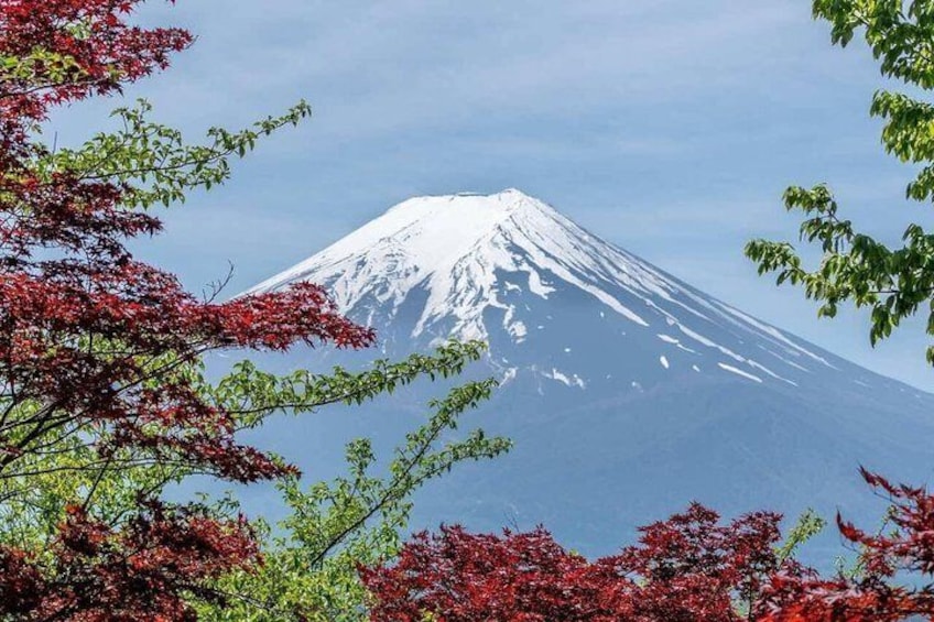 Mount Fuji & Lake Kawaguchi Group Day Tour from Tokyo