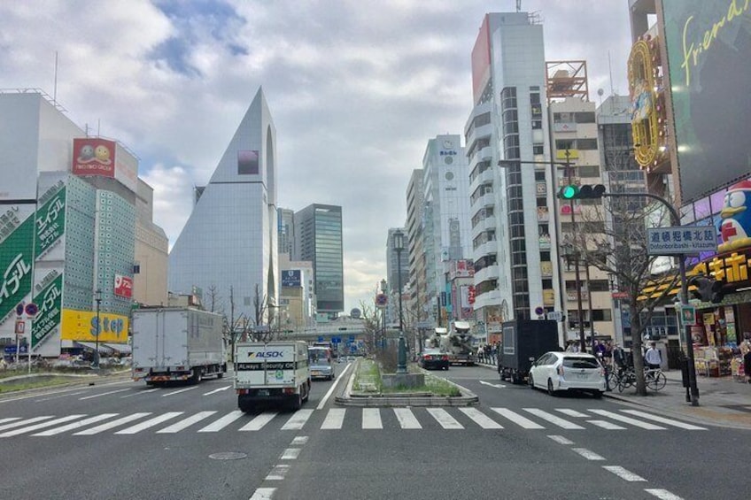 Full-Day Private Guided Tour to Osaka Minami Modern City