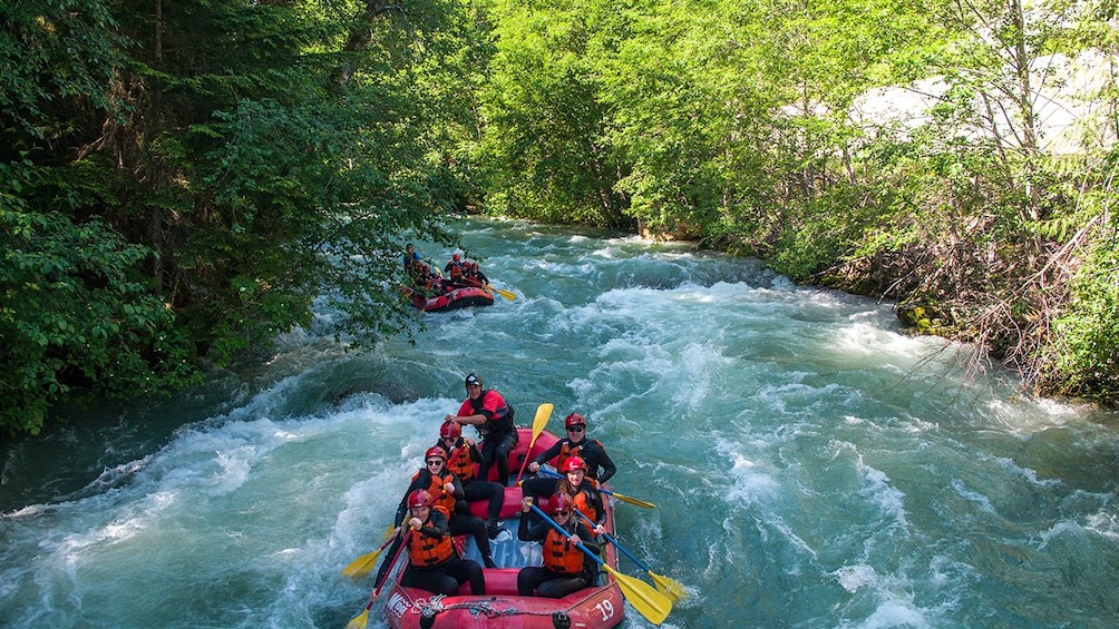 Green River Rafting in Whistler