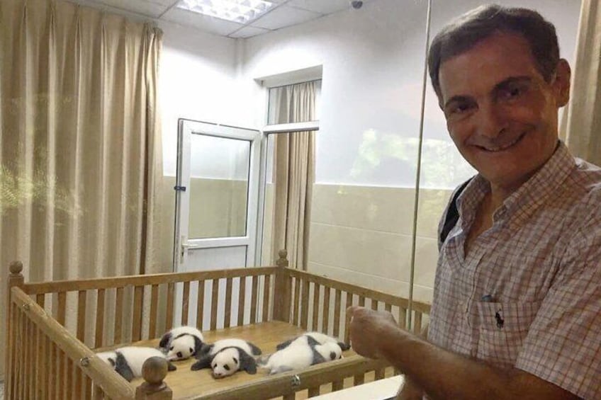 Private Half-Day Chengdu Panda Breeding Center Tour with Optional Volunteer