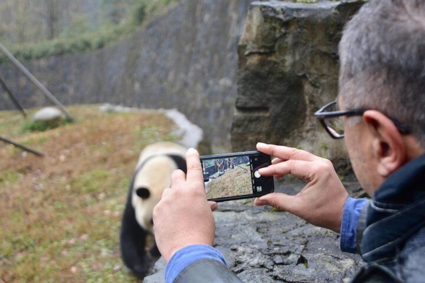 Panda Keeper Volunteer in Dujiangyan Wolong Panda Base