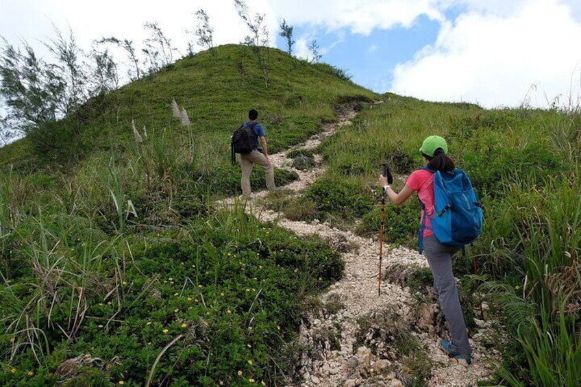 Way to Osmena Peak