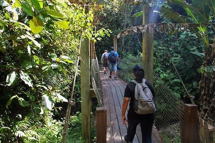 Kawang Forest Reserve Trekking