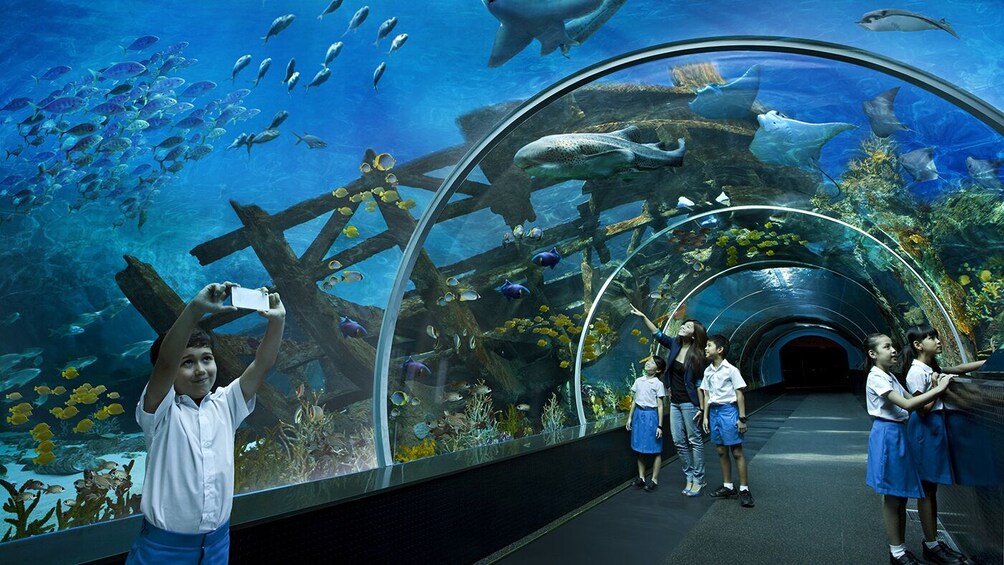S.E.A. Aquarium
