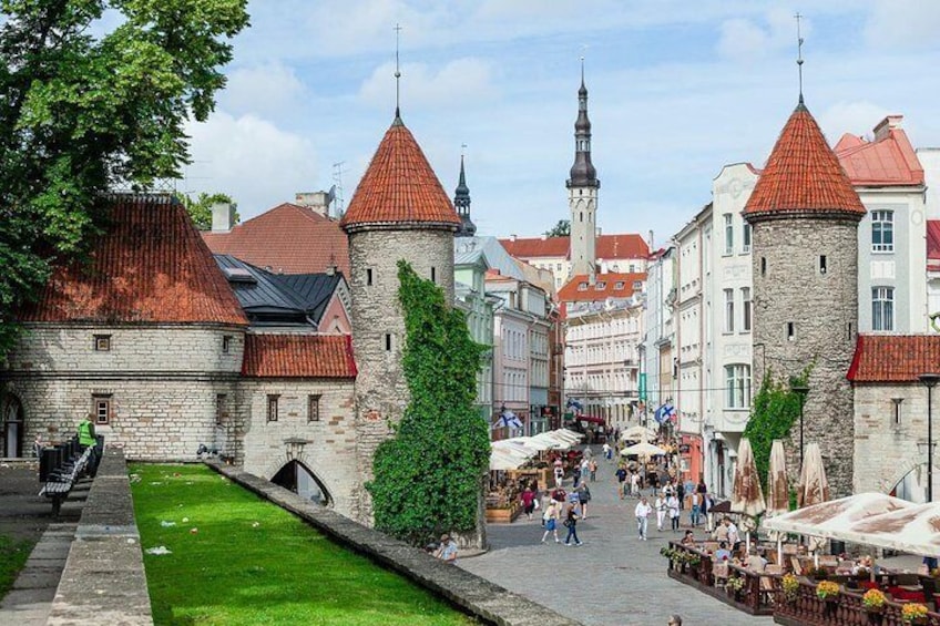 Tallinn City