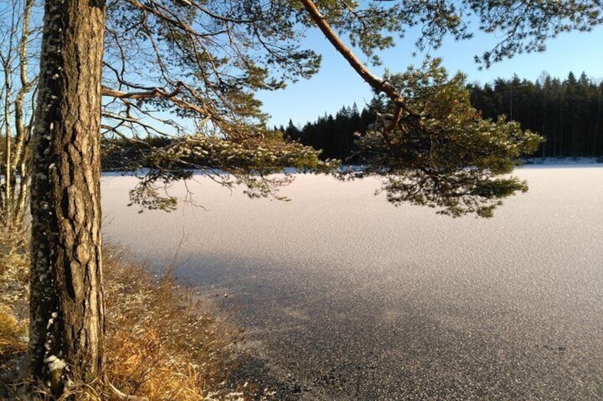 Iced lake in Nuuksio...
