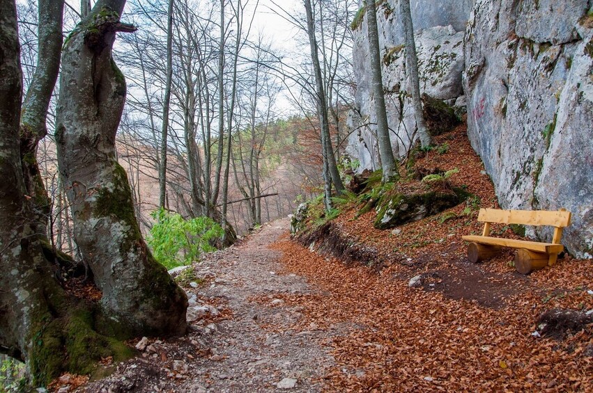 Show item 3 of 8. Skakavac Waterfall Mountain biking trip