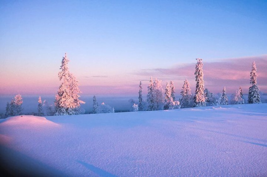 Pyha-Luosto National Park and Amethyst Mine by Car from Ivalo