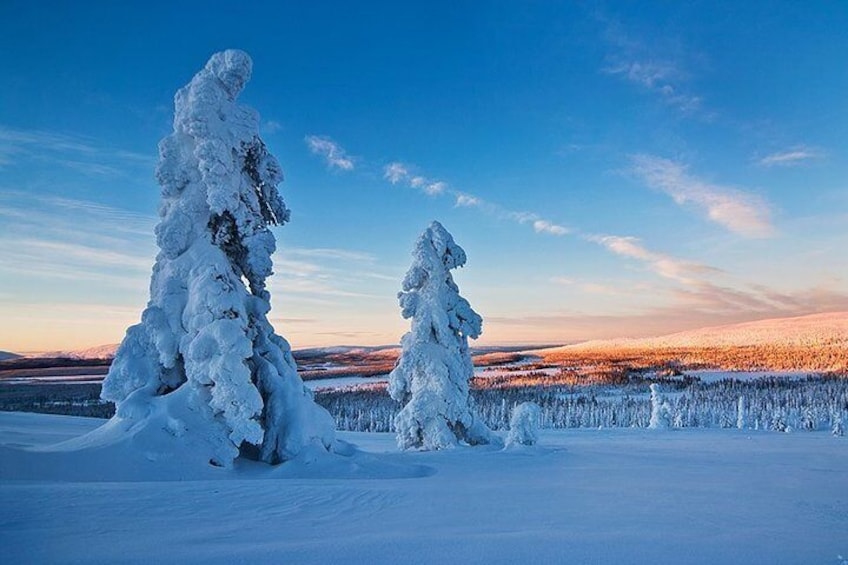 Pyha-Luosto National Park and Amethyst Mine by Car from Ivalo