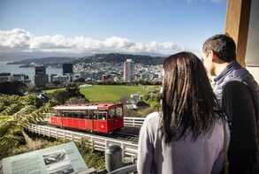 Wellington City Sights & Coastline Tour