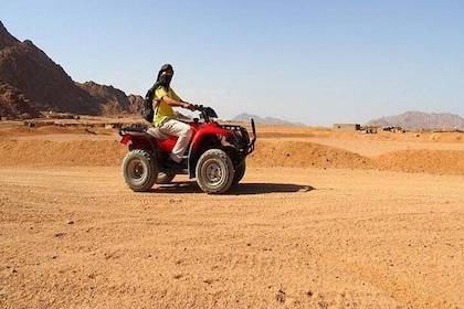 5x1 Desert Adventure from Sharm El Sheikh 