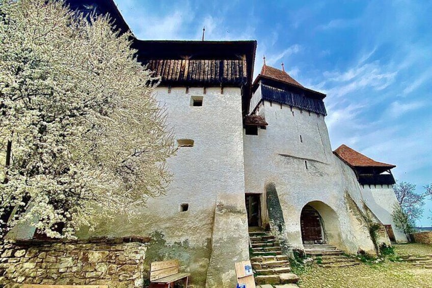 Viscri Fortified Church