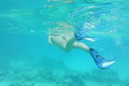 Pongwe Coral reef Snorkelling