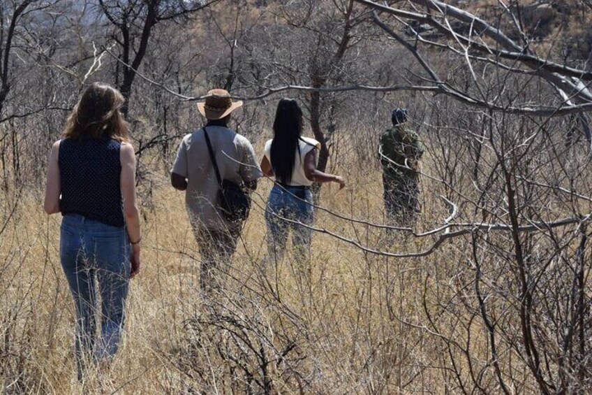 Mzingeli Rhino Encounter