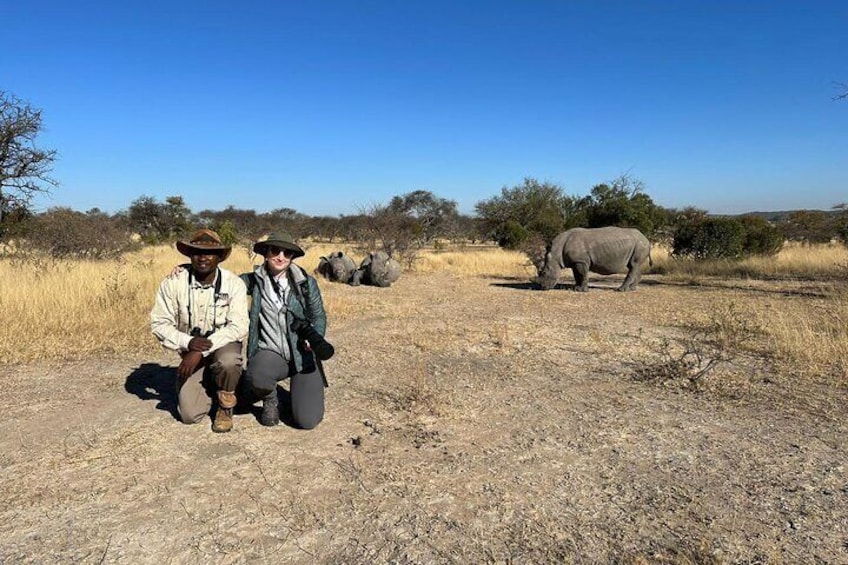 Matobo Rhino Encounter