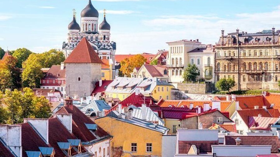 Tallinn Day Tour from Helsinki