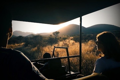 Scenic Game Drive Activity