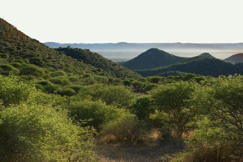 Enjoy a game drive through the Khomas mountains