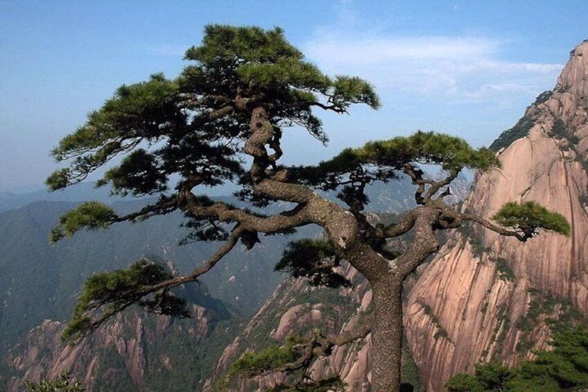 Mount Huangshan Highlights Group Tour -No Shopping