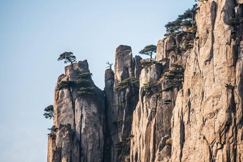 Mount Huangshan Highlights Group Tour -No Shopping