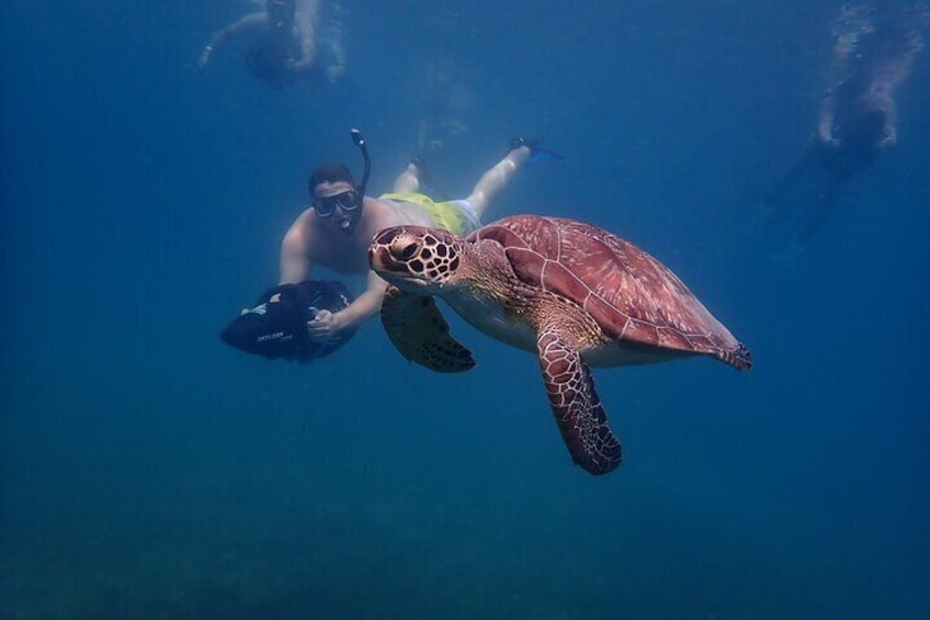 Turtle Beach Power Snorkeling Adventure