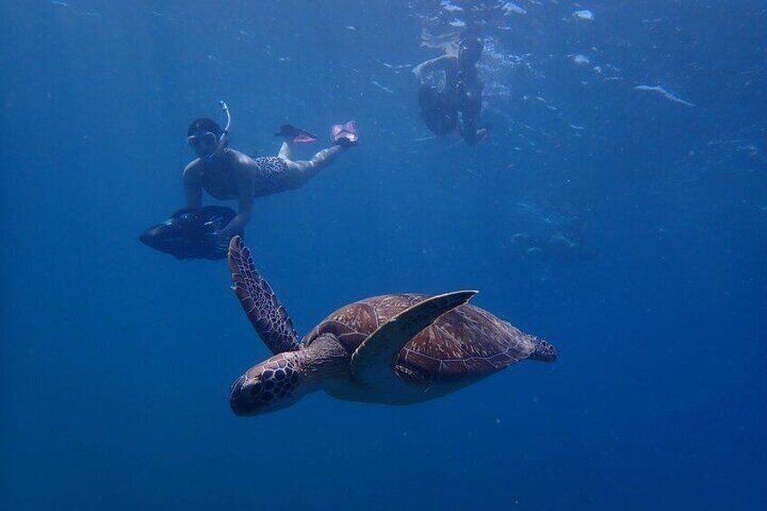 Turtle Beach Power Snorkeling Adventure