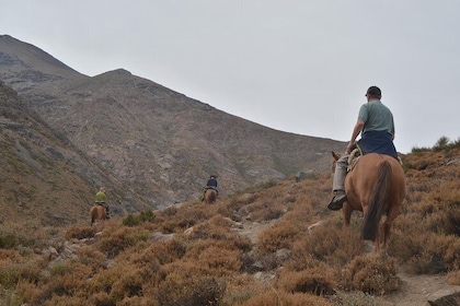 Andean Horse Ride Yerba Loca Sanctuary - Private tour from Santiago