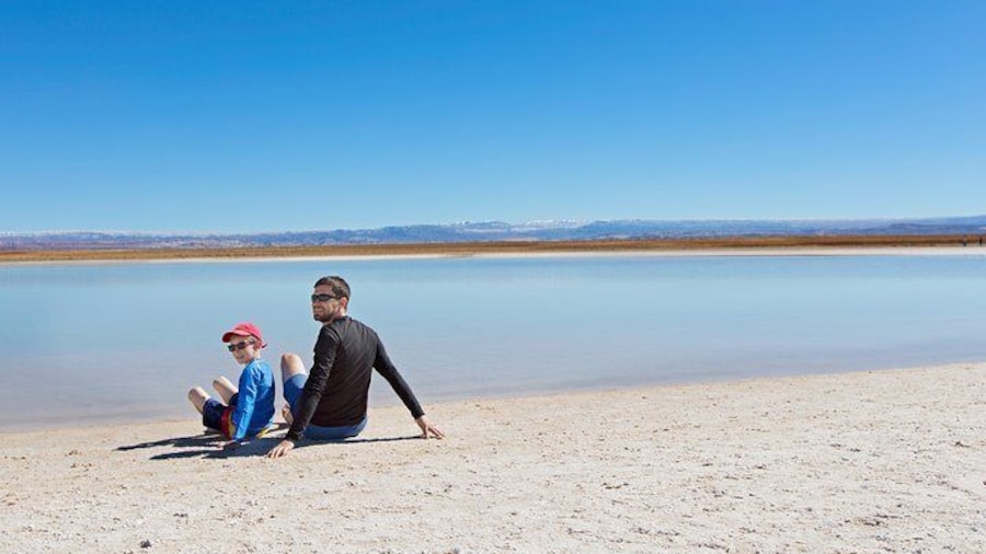 Small-Group tour to Laguna Cejar, Ojos del Salar and Laguna Tebinquinche