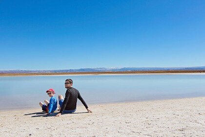 Visite en petit groupe à Laguna Cejar, Ojos del Salar et Laguna Tebinquinch...