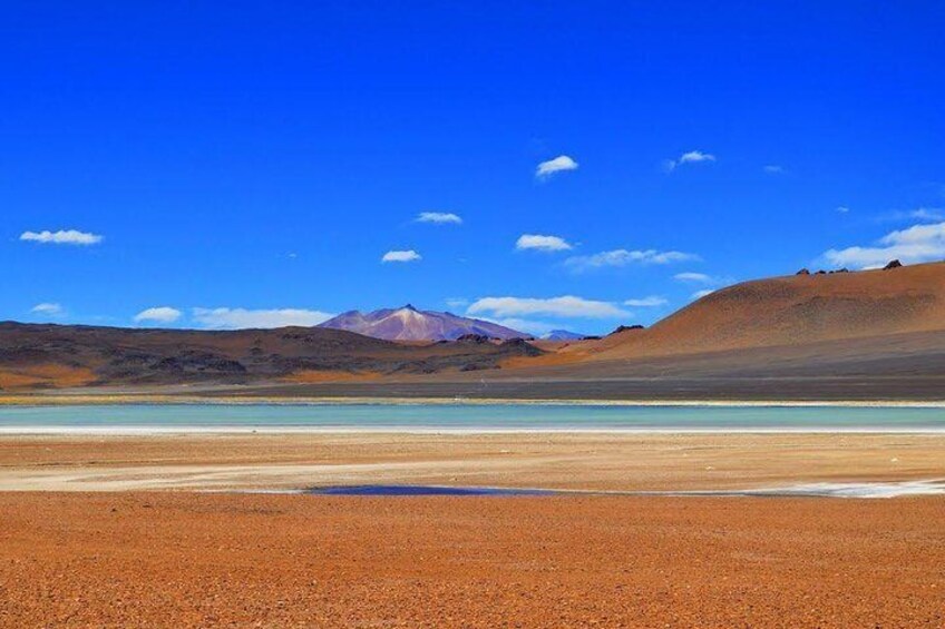 Small-Group tour to Laguna Cejar, Ojos del Salar and Laguna Tebinquinche