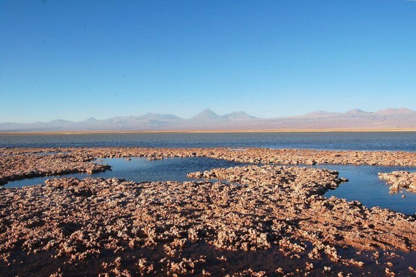 Small-Group tour to Laguna Cejar, Ojos del Salar and Laguna Tebinquinche