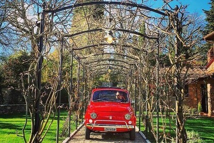 Private Vintage Fiat 500 tour in Tuscany