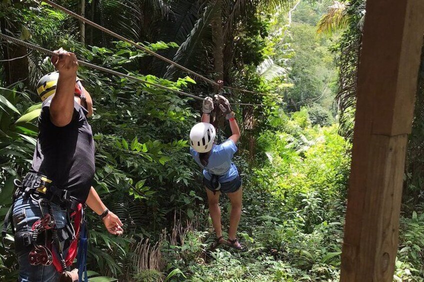 Zipline Adventure at Bocawina Rainforest