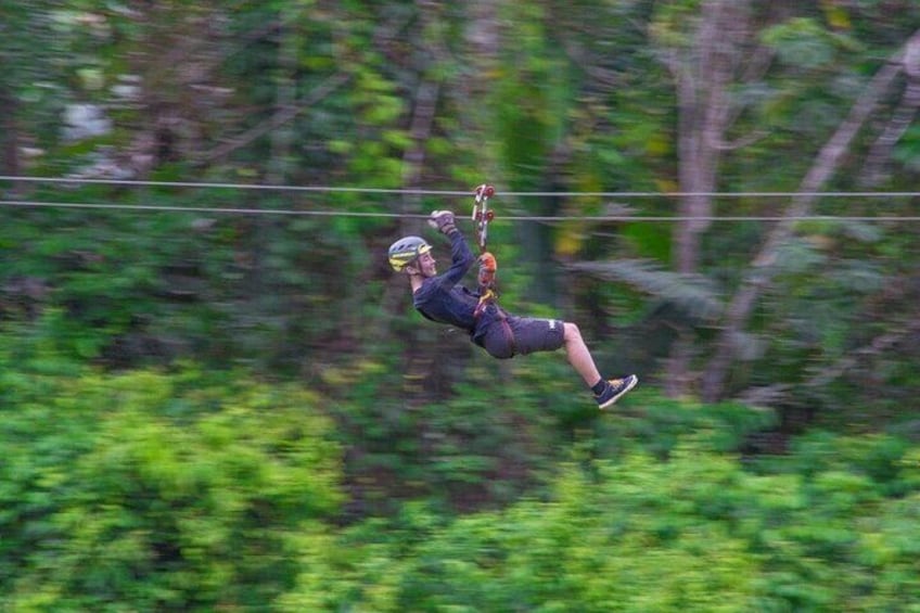 Thrilling Zipline Adventure at Bocawina Rainforest